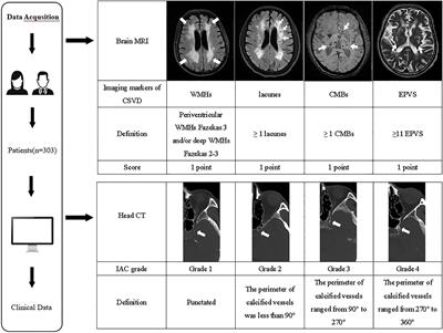 Associations between semi-quantitative evaluation of intracranial arterial calcification and total cerebral small vessel disease burden score: a retrospective case-control study